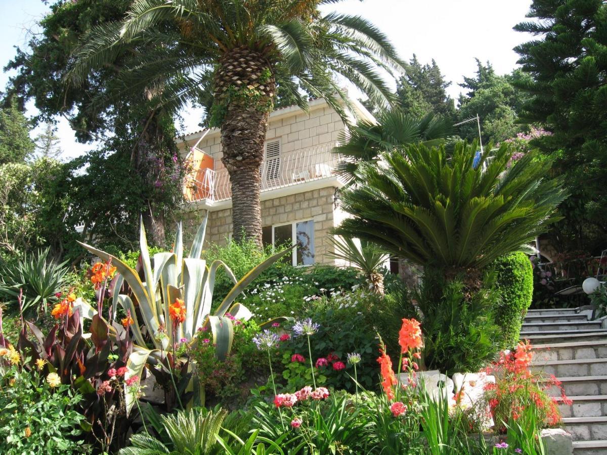 Guest House Villa Nina Mlini Exterior foto